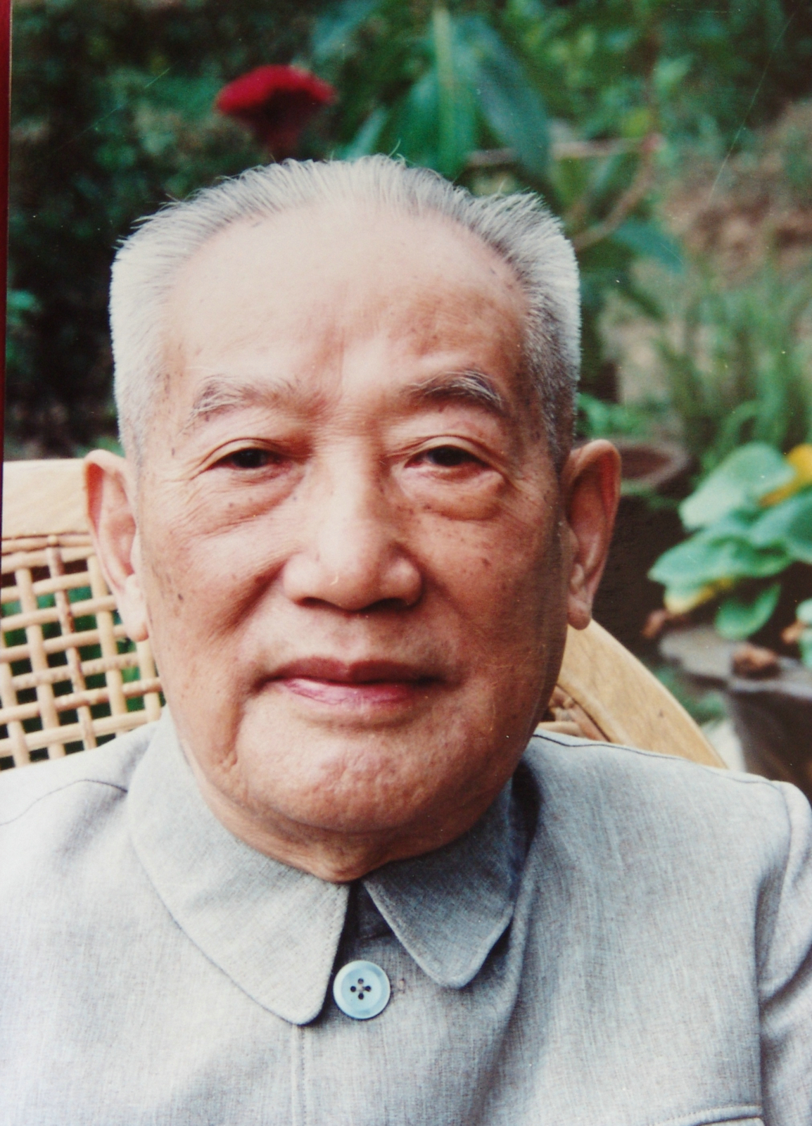 晚年時期的杜平將軍 晚年時期的杜平將軍