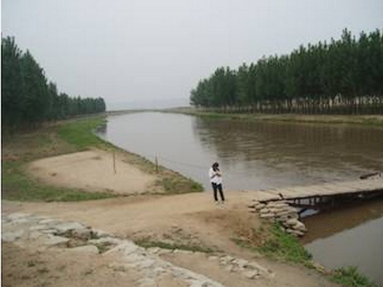 汾河河口附近景觀 汾河河口附近景觀