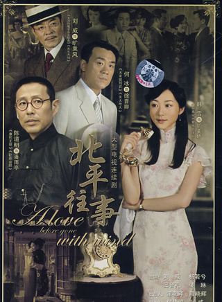 韓雪(中國內地女演員)