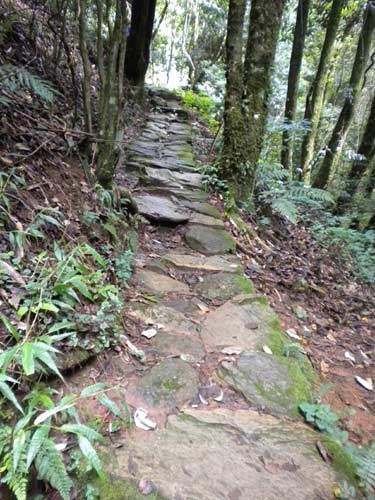 茶馬古道