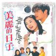 美麗的日子(2001年李秉憲主演韓國電視劇)