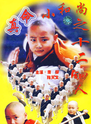 姜鴻(中國內地女演員)
