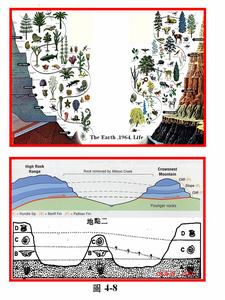 地質年代