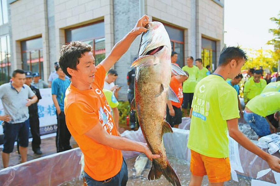 邛海漁民展示捕獲的魚 邛海漁民展示捕獲的魚