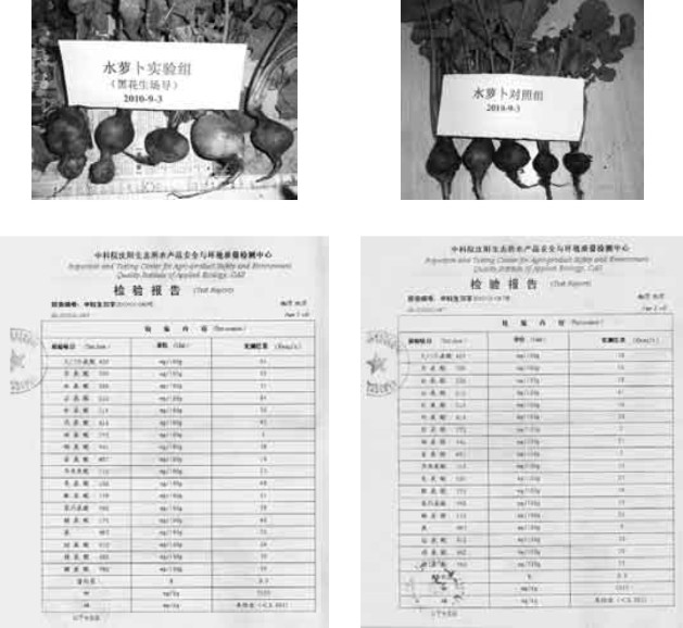生物電磁波 生物電磁波