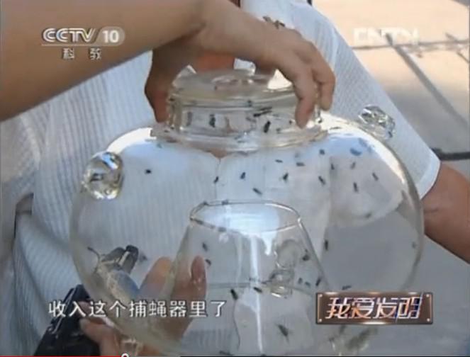捕蠅器 捕蠅器