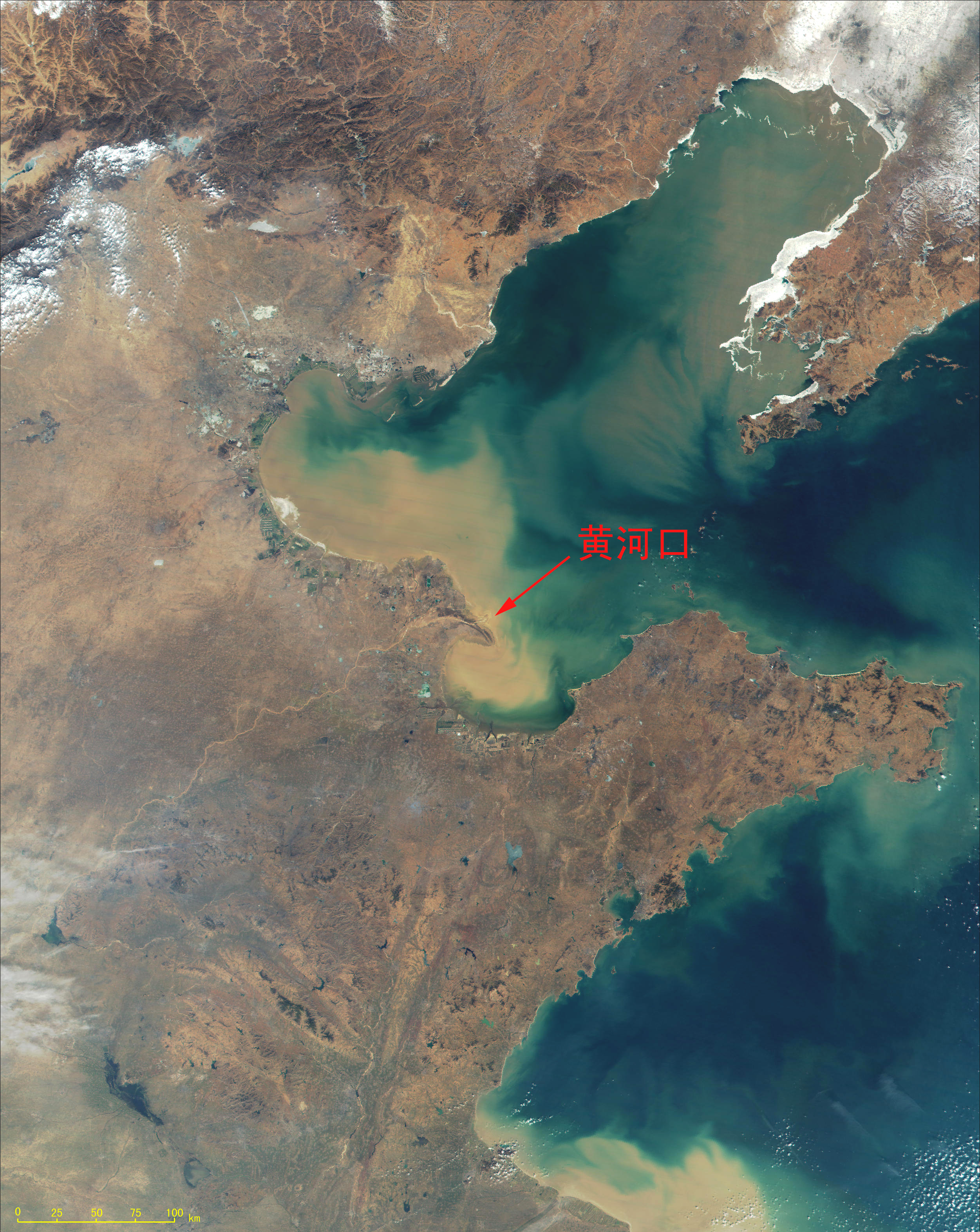 黃河入海處