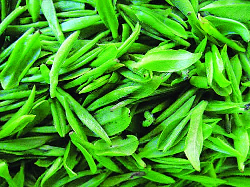 碧螺春茶葉