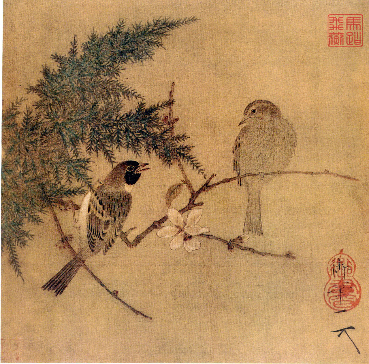 臘梅雙禽圖