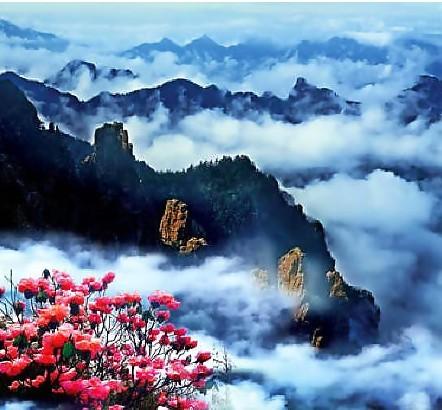 神農頂風景區 神農頂風景區