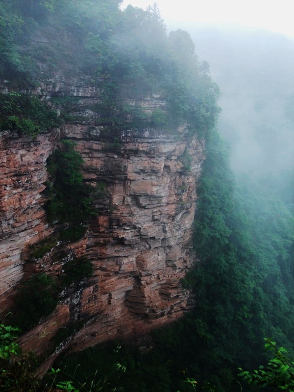 黃荊老林旅遊景區(黃荊老林) 黃荊老林旅遊景區(黃荊老林)