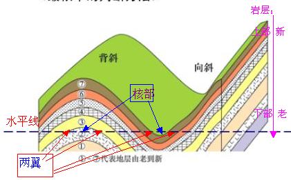 褶皺 褶皺