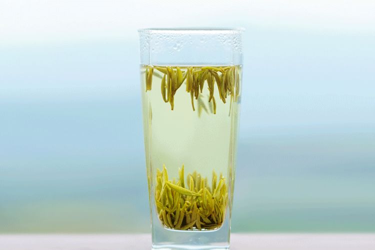 茶不會說話，卻足以治癒所有