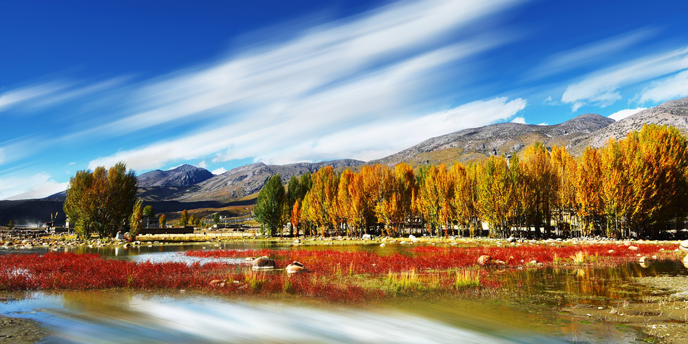 稻城亞丁紅草地 稻城亞丁紅草地