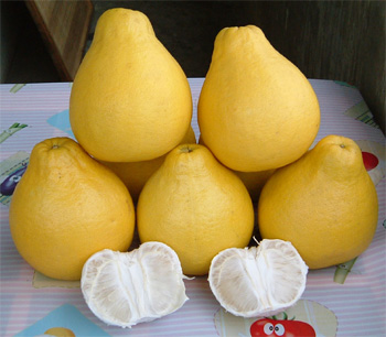 江永縣(江永（永州市南部縣城）一般指本詞條)