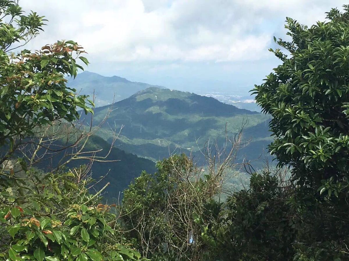 九龍峰 九龍峰