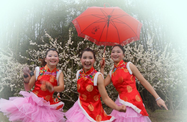 信宜李花旅遊文化節 信宜李花旅遊文化節
