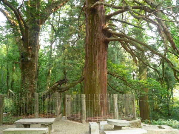 廬山(中華十大名山之一)