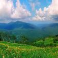 登高山