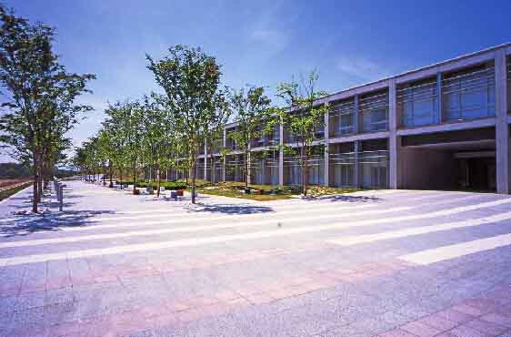 早稻田大學 早稻田大學