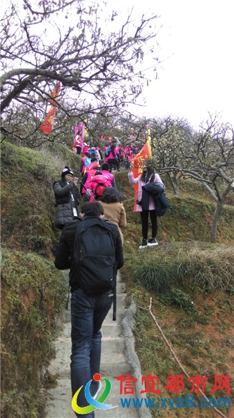 銀妃李花園 銀妃李花園