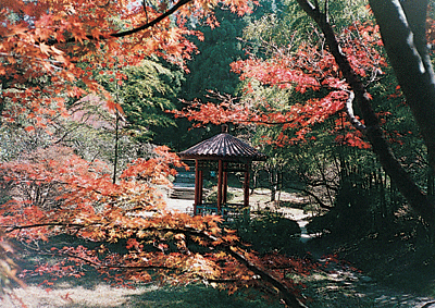 花徑 花徑