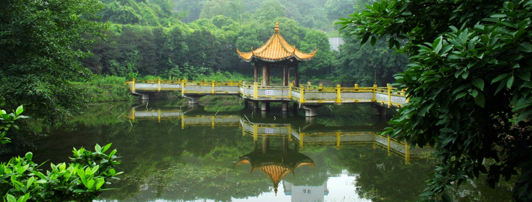 校園全景 校園全景