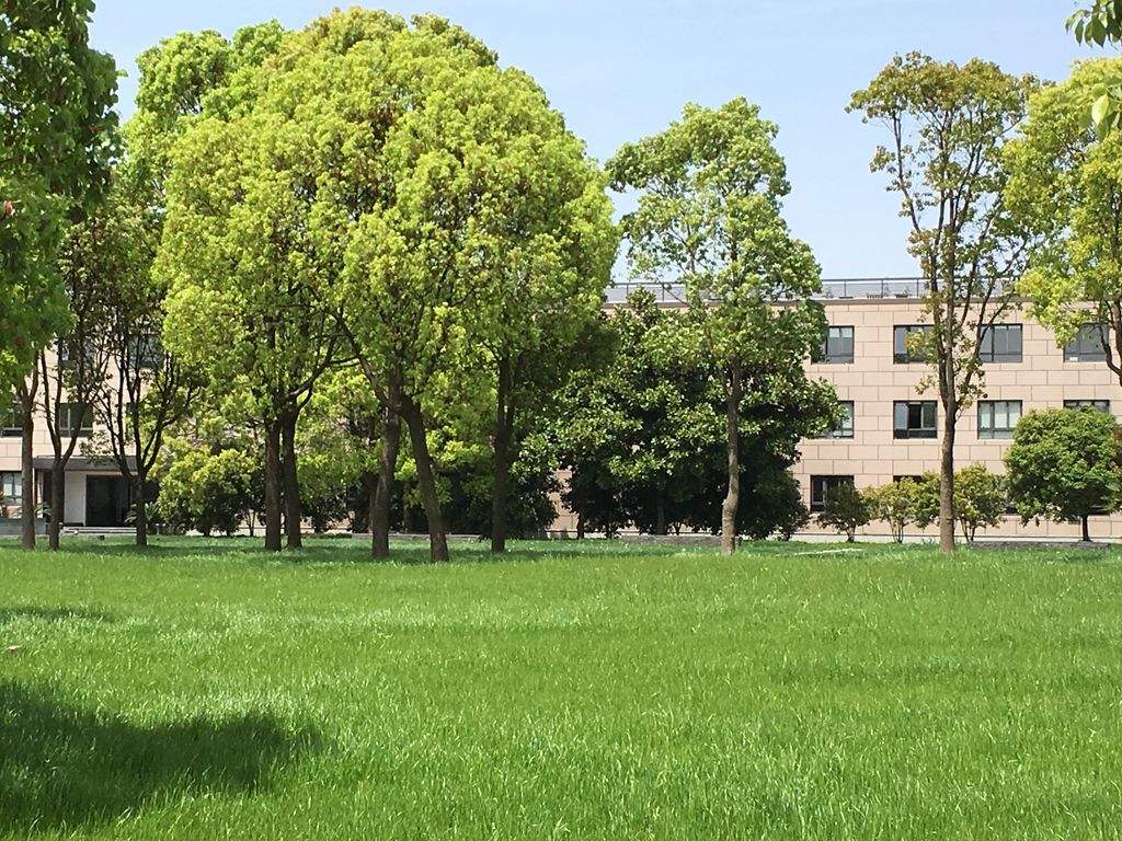 上海興偉學院 上海興偉學院