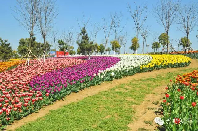 新野白河灘公園 新野白河灘公園