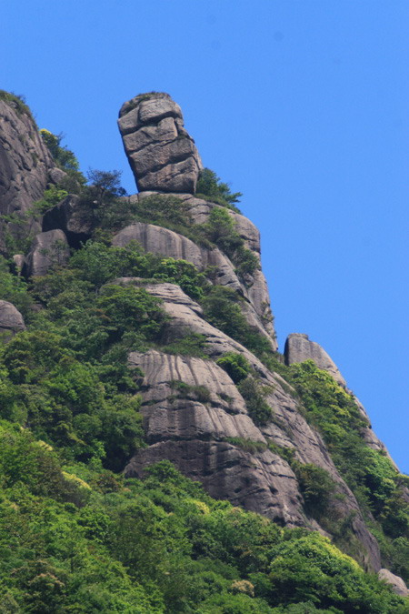 浮蓋山鐘石 浮蓋山鐘石