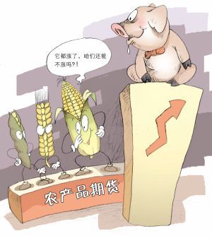 期貨基金 期貨基金