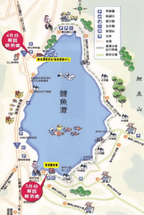 鯉魚潭(台灣花蓮縣鯉魚潭)