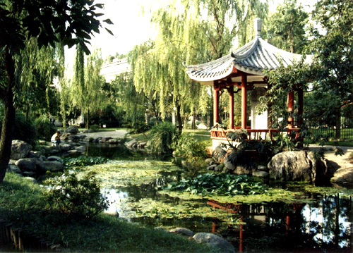 金水溪 金水溪