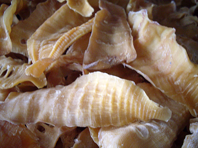 竹筍(中國食材) 竹筍(中國食材)