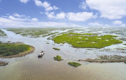 濕地與淡水保護 濕地與淡水保護