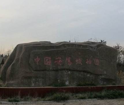 臘梅園 臘梅園
