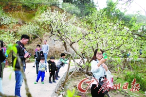 李花