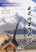 走進帕米爾高原:穿越柴達木盆地 走進帕米爾高原:穿越柴達木盆地