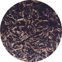 湖南黑茶 湖南黑茶