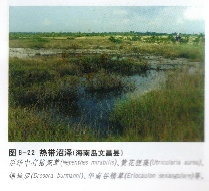 合併圖冊 合併圖冊