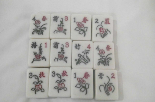 花牌(麻將中的一類牌)