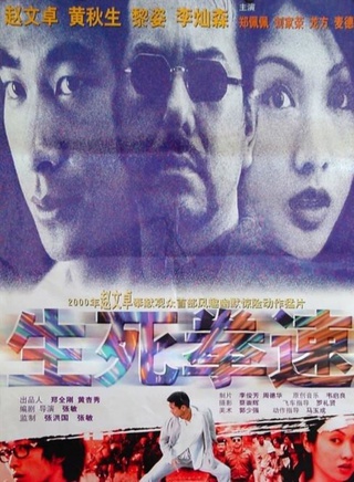 趙文卓(影視演員)