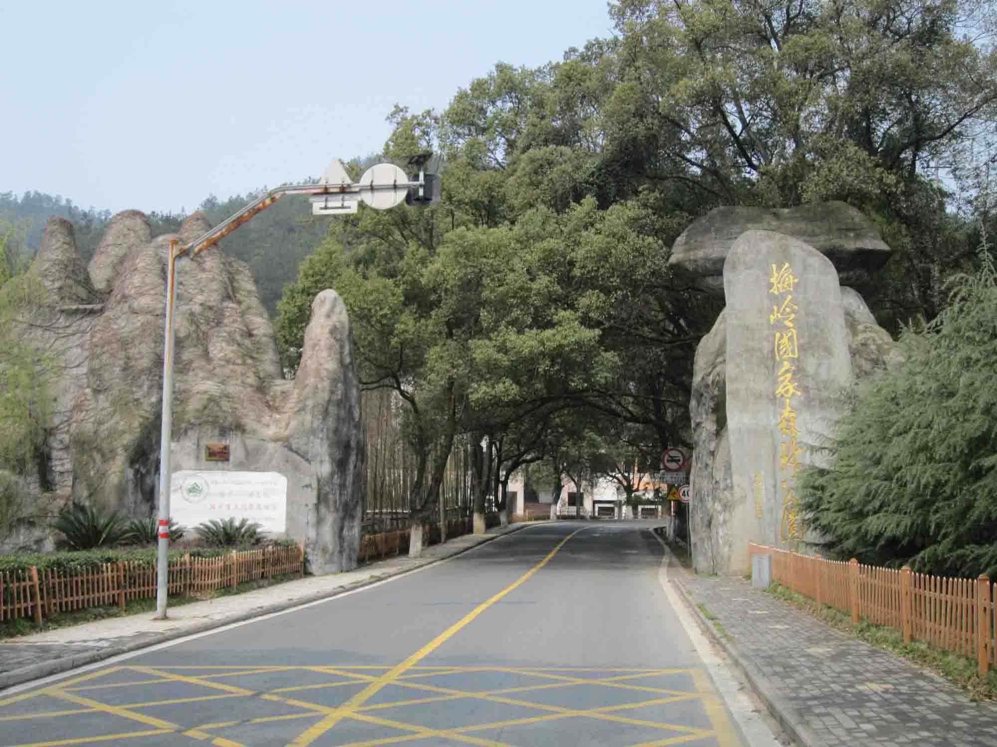 江西梅嶺國家森林公園 江西梅嶺國家森林公園