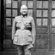 劉峙