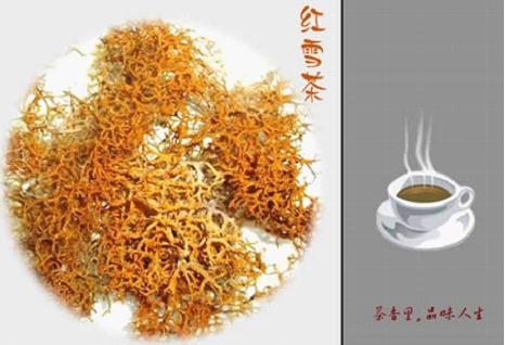 康定紅雪茶 康定紅雪茶