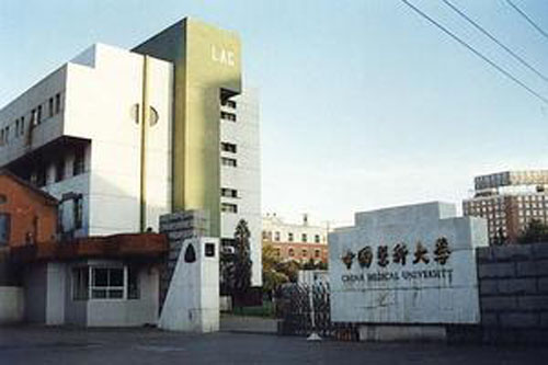 中國醫科大學舊校區正門 中國醫科大學舊校區正門