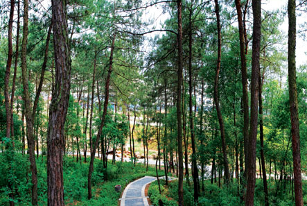廬陵生態公園 廬陵生態公園