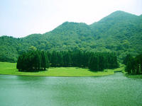 北流大容山國家森林公園 北流大容山國家森林公園