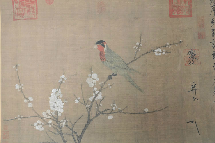 宋趙佶五色鸚鵡圖 宋趙佶五色鸚鵡圖
