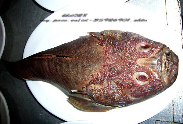 常吃海魚 常吃海魚